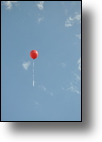 20110522_171524_DSC_2273.jpg