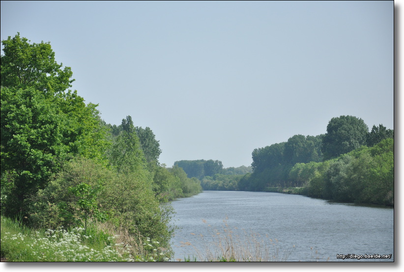 20110430_113344_DSC_2164.jpg
