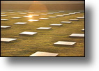 20100306_180121_DSC_0226.jpg
