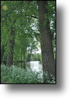 20110430_112601_DSC_2161.jpg