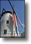 20110522_164808_DSC_2263.jpg