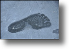 20110424_075515_DSC_2079.jpg